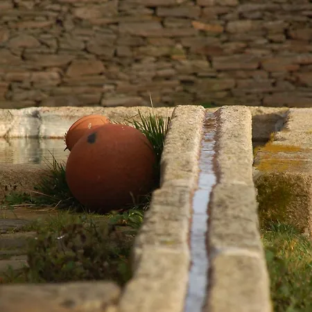 Alojamento de Turismo Rural Quinta Da Alagoa *