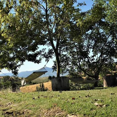 Vakantieboerderij Quinta Da Alagoa Santa Maria de Émeres