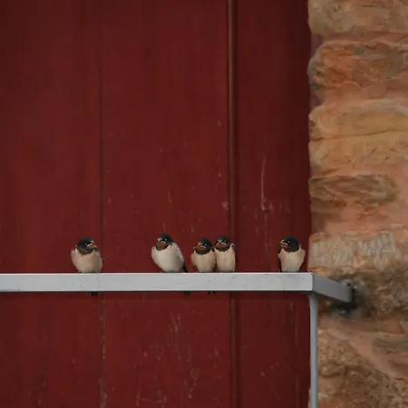 Alojamento de Turismo Rural Quinta Da Alagoa