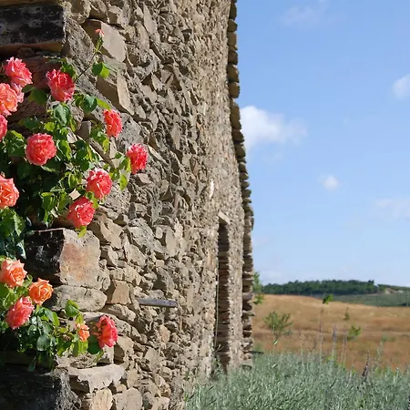 Quinta Da Alagoa Santa Maria de Émeres