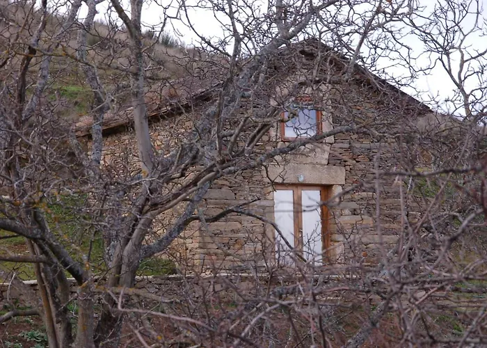 Quinta Da Alagoa 农家乐