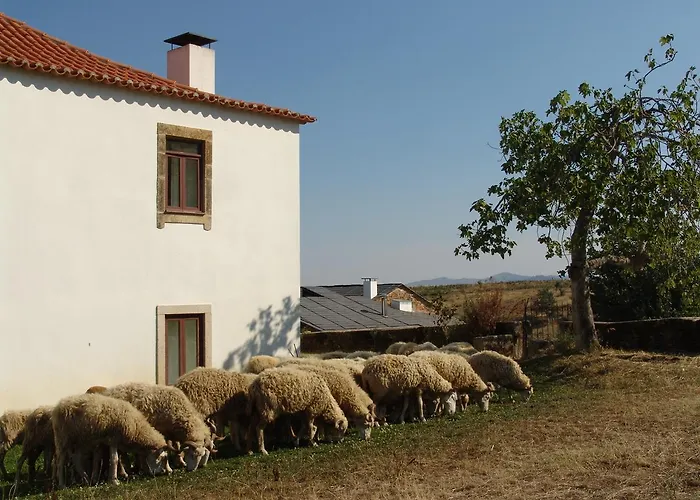 Quinta Da Alagoa 农家乐 Santa Maria de Émeres