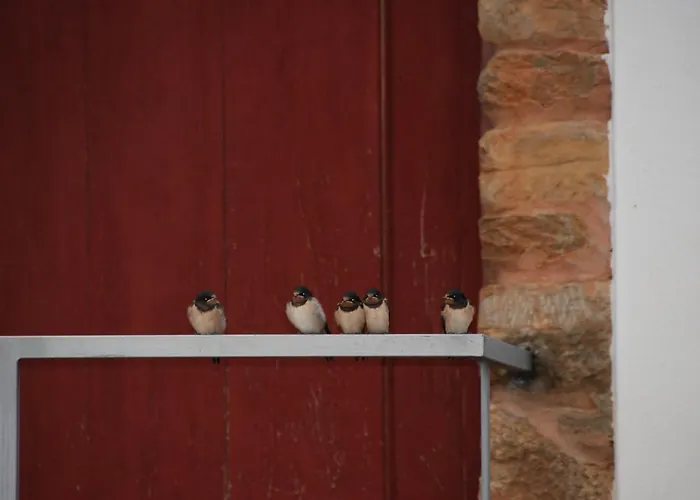 Farma Quinta Da Alagoa