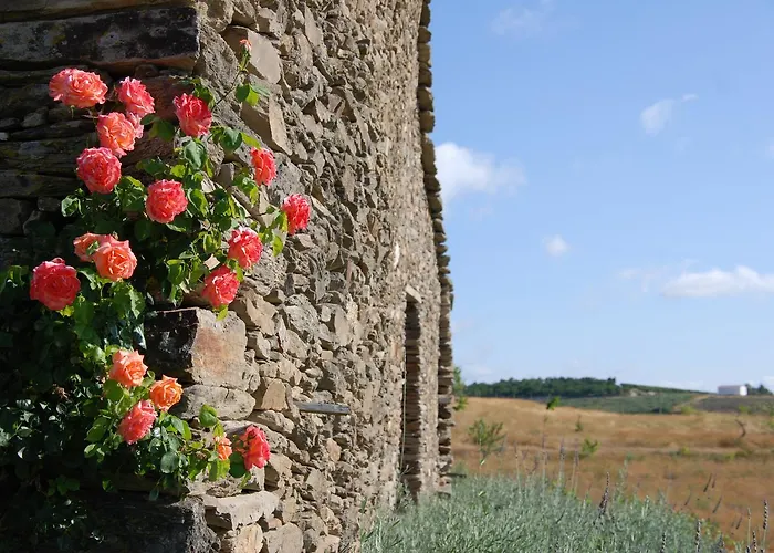 Quinta Da Alagoa Santa Maria de Émeres